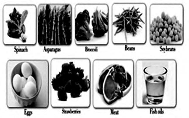 Spinach, asparagus, broccoli, beans, soybeans, eggs, strawberries, meat and fish oil provide vitamin K.