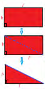 Cutting a rectangle along its diagonal makes two identical right angled triangles, so one triangle is exactly half the rectangle.