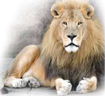 Lion: a thick mane of hair; its cubs are born alive and suckle their mother's milk