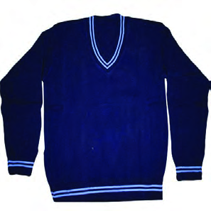 The sweater bought for Rs.900 and priced at Rs.1200, the item on which the shop gains.