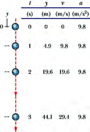 A freely falling object through its first 3 s: each second the velocity grows by 9.8 m/s while the acceleration stays fixed at 9.8 m/s²