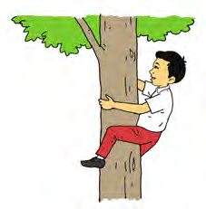 Climbing a tree