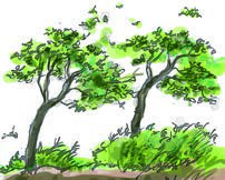 Trees bent sideways with leaves flying: windy.