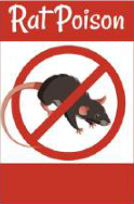 Rat poison is a rodenticide: it kills rats and mice.