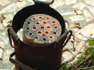 A briquette burning in a stove gives back the solar energy that plants stored while they grew.