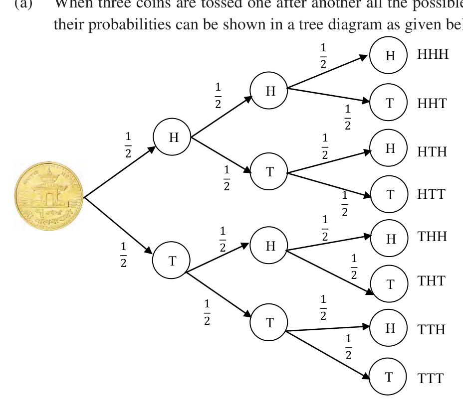 Three coins tossed in turn: three stages of branches, each labelled one half, ending in the eight outcomes from HHH down to TTT.
