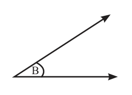 The smaller angle, B.