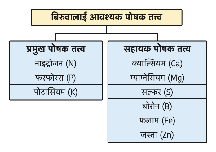 The division of plant nutrients: primary nutrients needed in large amounts and secondary nutrients needed in smaller amounts.