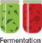 Fermentation: vegetables sealed in jars turn sour, and the sourness stops harmful microbes from growing.
