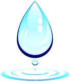 Water, a need for every living thing.