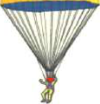 The wide canopy catches a large amount of air, so the air resistance on it rises quickly until it matches the weight of the parachutist.