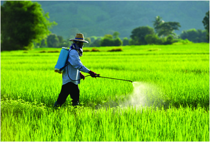 A farmer spraying pesticide over his field. Spraying kills insect pests, but the story shows what happens when chemicals are used carelessly for years.