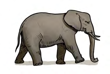 Elephants carry visitors through the grasslands of Chitwan.