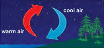 Air above the warmer surface rises while cooler air sinks to take its place, and it is this loop that sets the air moving.