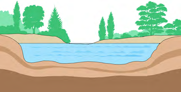 Water gathered in a hollow of the ground to form a pond. The shape of the land decides where water can settle and stay.