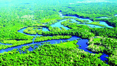 The Amazon rainforest from above, with the river winding through it.