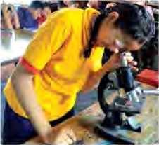A structure too small for the eye is brought into view with the help of a microscope.