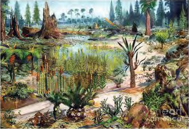 A Mesozoic landscape of dry weather and changing seasons, where gymnosperms such as cycas and pine had spread.