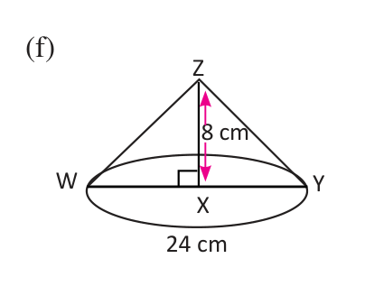 Cone (f), whose 24 cm is the full diameter WY, so its radius is 12 cm.
