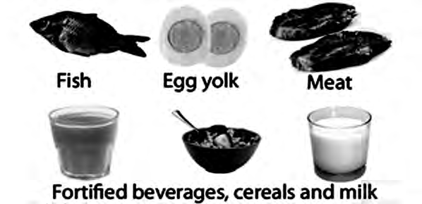 Fish, egg yolk, meat, and drinks, cereals and milk with vitamin D added are food sources of vitamin D.