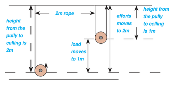 In a single movable pulley the effort moves 2 m while the load rises 1 m, because two rope segments hold the load.