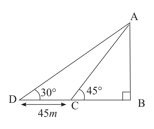 Two observation points C and D on the same side of the tree give two right-angled triangles that share the height AB.