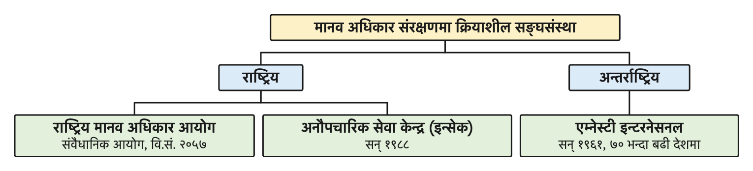 मानव अधिकार संरक्षणमा क्रियाशील तीन संस्था: दुई राष्ट्रिय र एक अन्तर्राष्ट्रिय
