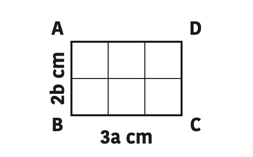 A rectangle \( 3a \) cm long and \( 2b \) cm wide splits into six pieces of \( ab \) cm², which is why \( 3a \times 2b = 6ab \).