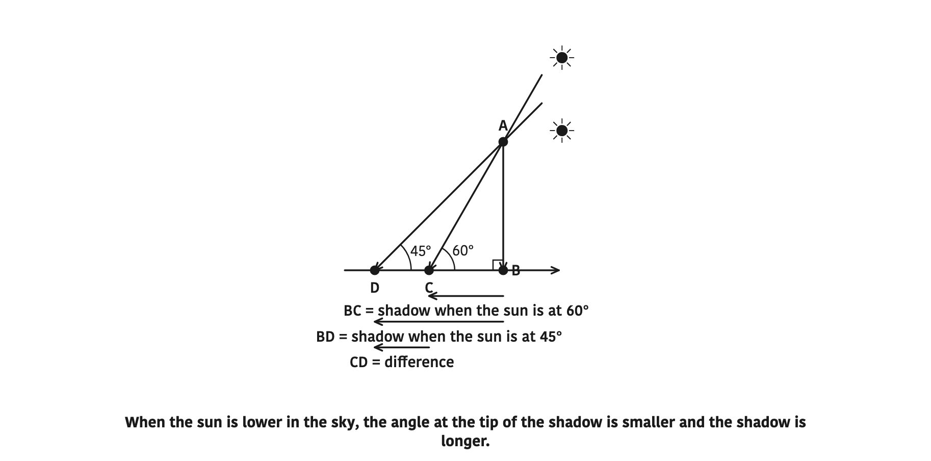When the sun is lower in the sky, the angle at the tip of the shadow is smaller and the shadow is longer.