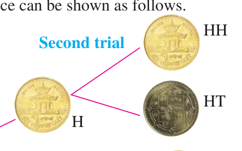 After a head on the first trial, the second trial splits into HH and HT.