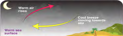At night the air above the warmer sea surface rises, and cool air from the land flows out towards the sea.