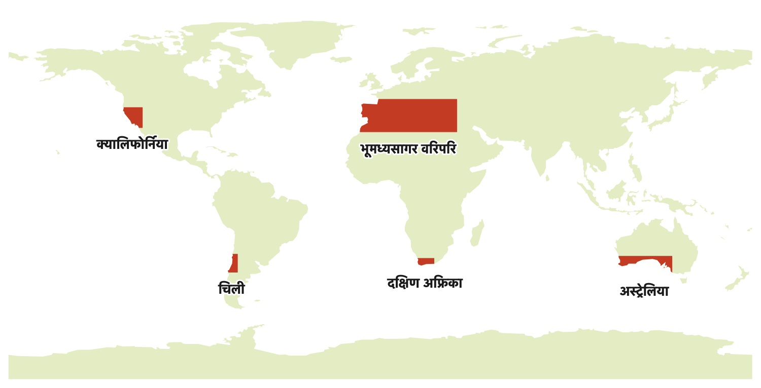 भूमध्यसागरीय हावापानी पाँच वटा महादेशमा छरिएर पाइन्छ, र हरेक ठाउँमा यो महादेशको पश्चिमी किनारतिर नै छ।