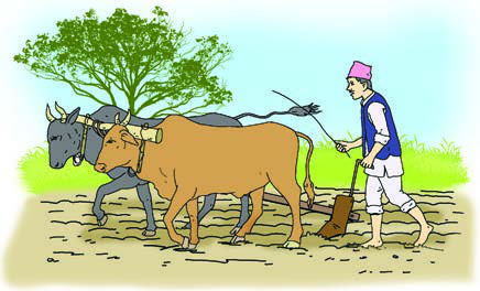 A farmer ploughs his field with a pair of oxen.