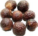 Dried reetha fruits. The wrinkled brown shells hold the saponin that foams in water.