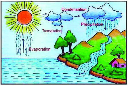 The water cycle: the sun drives evaporation from the sea and transpiration from trees, the vapour condenses into clouds, and precipitation returns the water to the land.