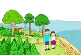 The children are standing at the very edge of the cliff. They might fall down.