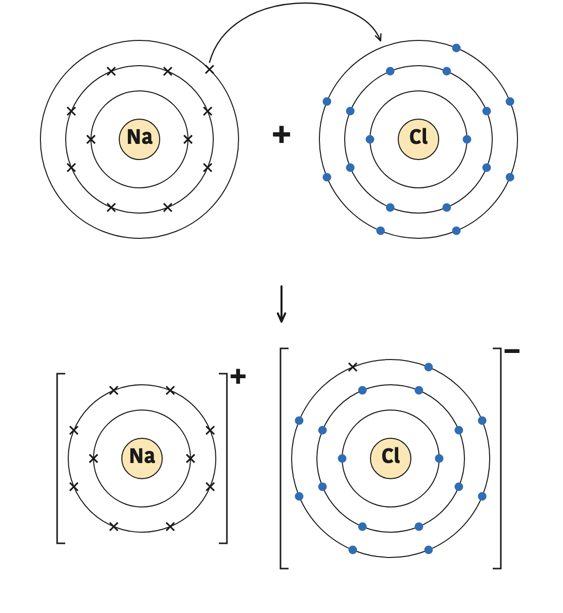 Sodium's single outer electron moves into chlorine's outer shell, and the Na⁺ and Cl⁻ ions that form each have eight electrons in the outer shell.