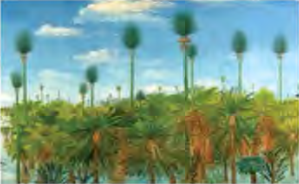 Huge, dense forests of non-flowering pteridophytes, the plants that spread across the land in this era.
