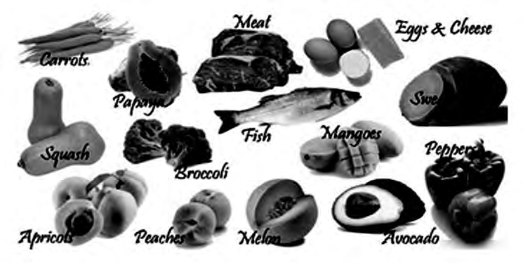 Among these foods, the meat, fish, eggs and cheese are good sources of the B complex vitamins.