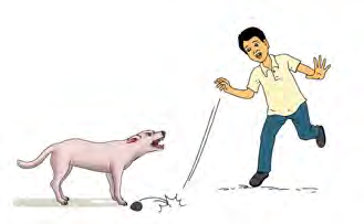 The dog is barking fiercely at the running man. It might bite him.