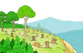 Most of the trees on this hillside have been cut down to stumps. The bare slope is going to lose its soil when the rain comes.