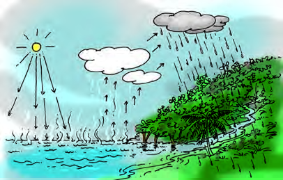 The water cycle running in nature: water becomes vapour, cools high up into cloud, and returns as rain.