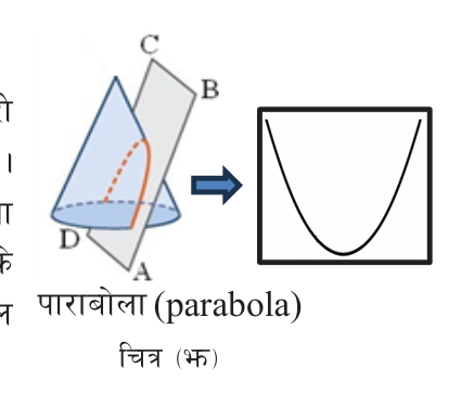A plane ABCD parallel to a generator cuts the cone in a parabola, an open curve.