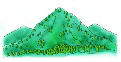 The hill as it used to be, green from foot to top with thick forest.