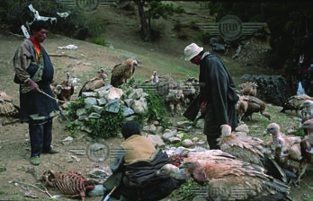 Vultures gather around a sky burial site while Tibetans stand by. Outsiders may watch only from the side, without photographs.