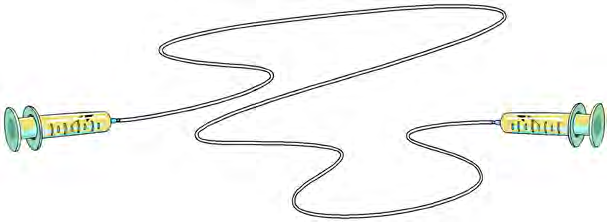 The set-up in which force applied to one piston travels through the water to the other piston.