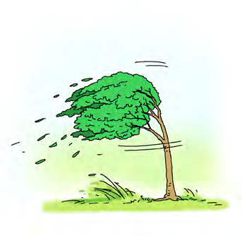 A strong wind bends the whole tree. This is the untaught wind of the poem, blowing its loudest with no aim at all.