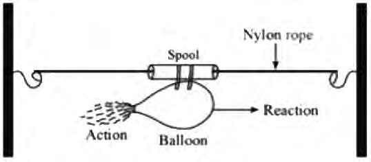 A balloon rocket on a string: as the air rushes backward out of the mouth, the balloon shoots forward along the string.