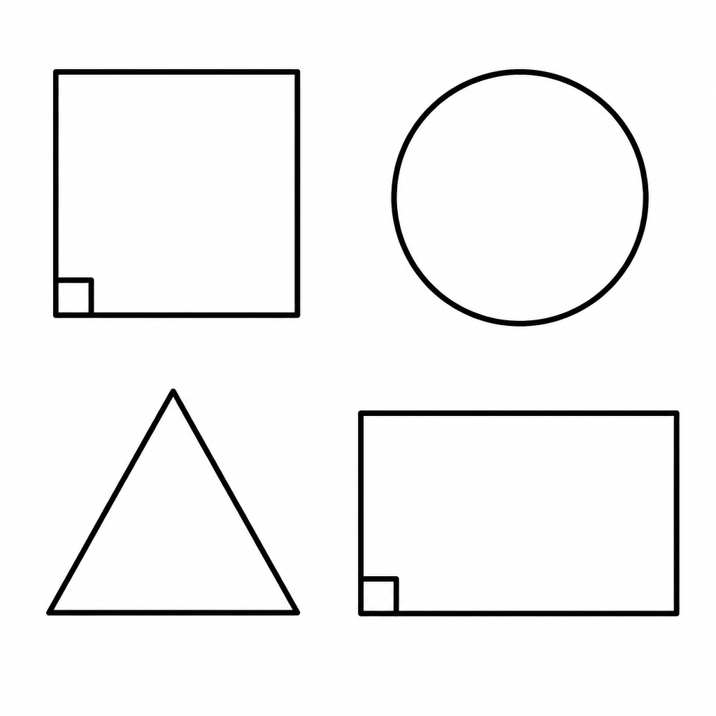 All four shapes share one property, so together they can be called the set of plane shapes.