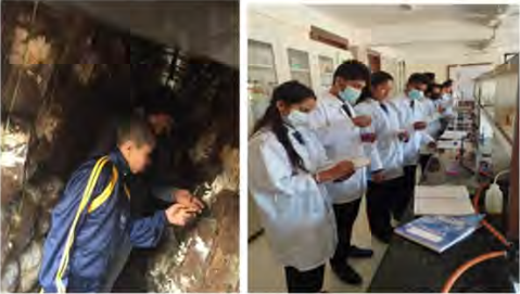 Observation happens on a farm just as it happens in a laboratory.